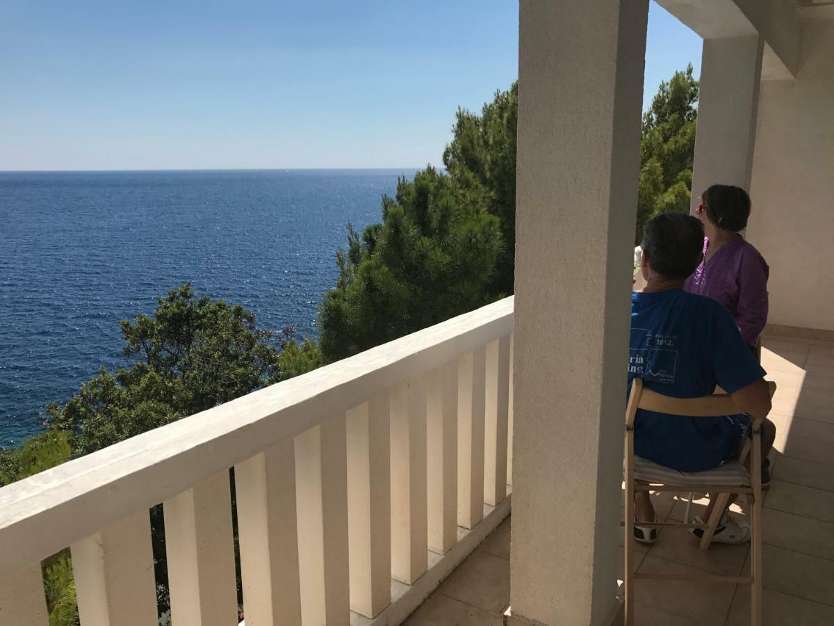 Victor Apartman Babino Polje